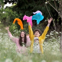 Cruinniu na n Og 2024 fields