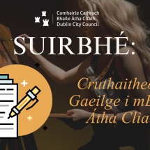 DCC Gaeilge Survey1