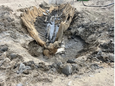 Screenshot 2025 12 09 at 13 24 17