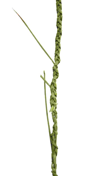 F6310c97 9e76 46ab a48f 3724b8ac4bbf