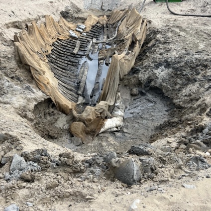 Screenshot 2025 12 09 at 13 24 17