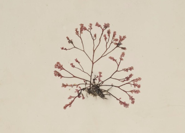 Thumbnail Screenshot 2025 12 09 at 13 16 43